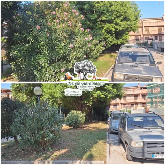 Manutenzione